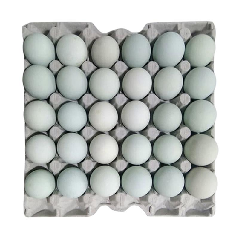 Telur Itik